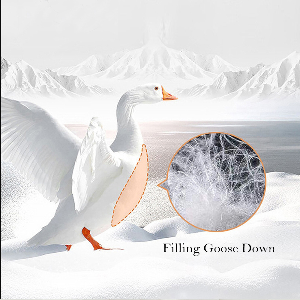 Liv-Esthete White 100% Goose D - Duvet Insert White review and price