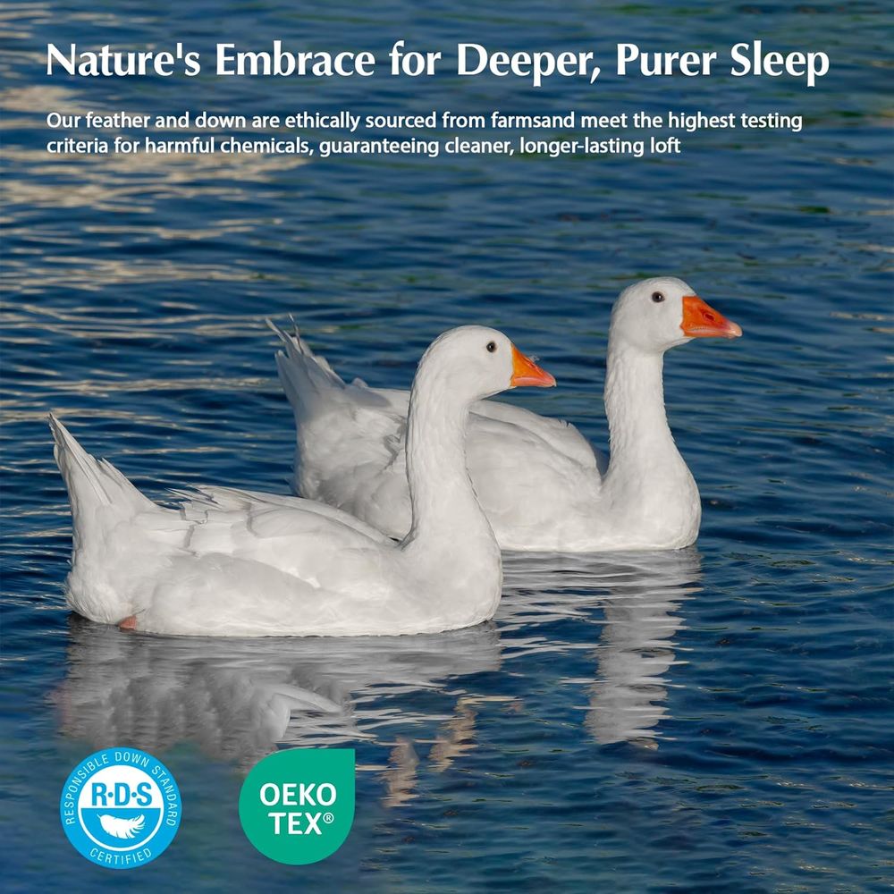 Goose eather Down iber Comorte - Duvet Insert White review and price