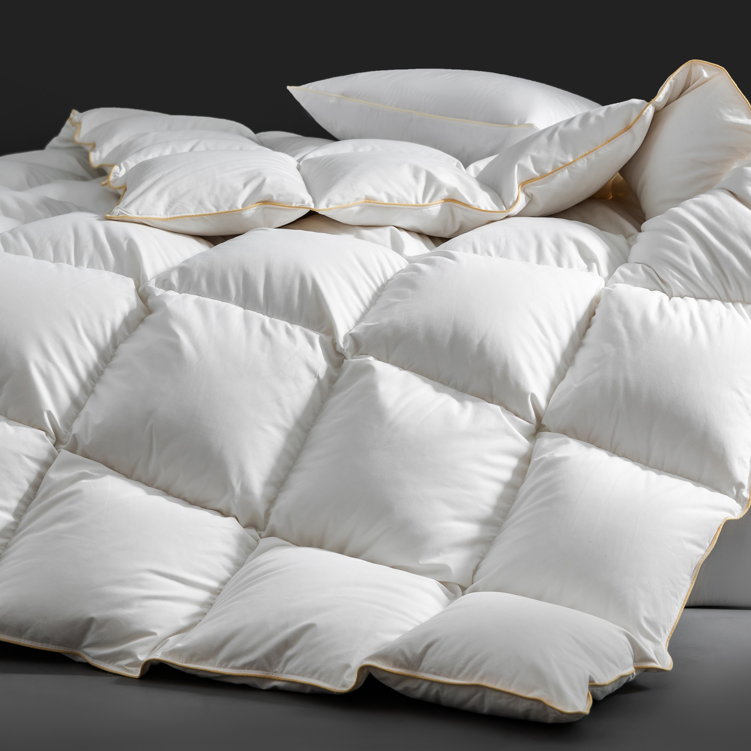 usLuxurious Goose Down Comfort - Duvet Insert White review and price